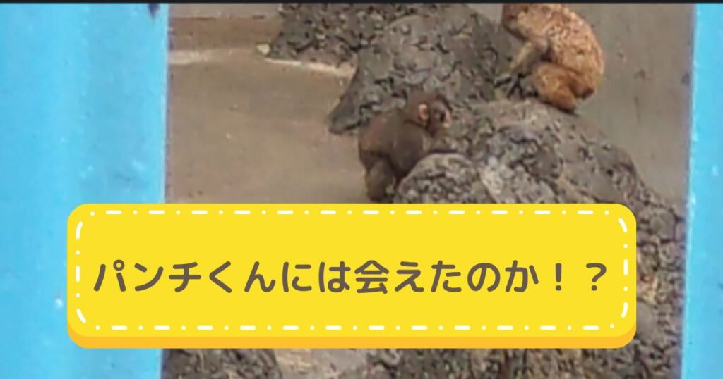 市川市動植物園パンチくんアイキャッチ